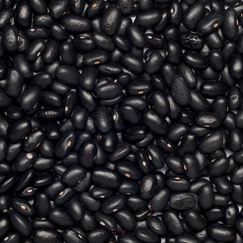 Beans black org. 5kg