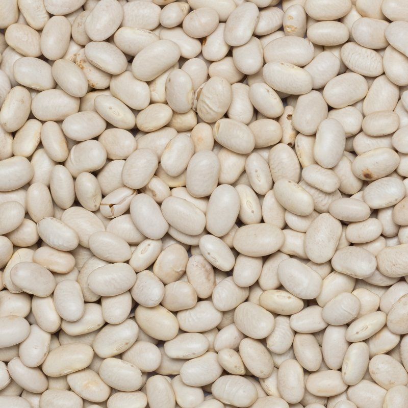 Beans white small Navy org. 25kg FT IBD