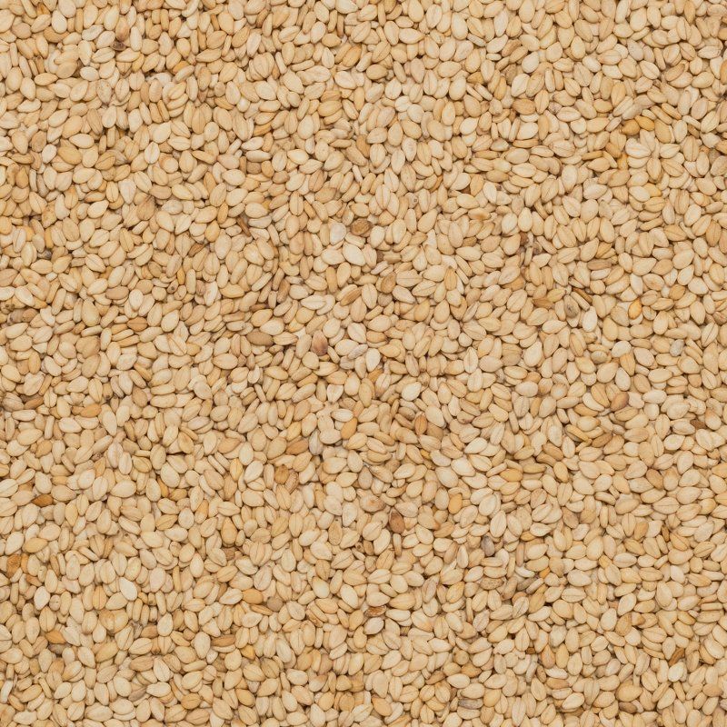 Sesame seed unhulled org. 25kg 
