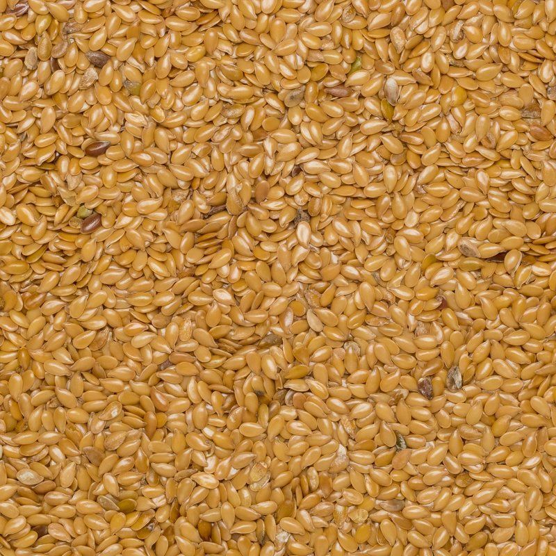 Flax seed blond org. 25kg 