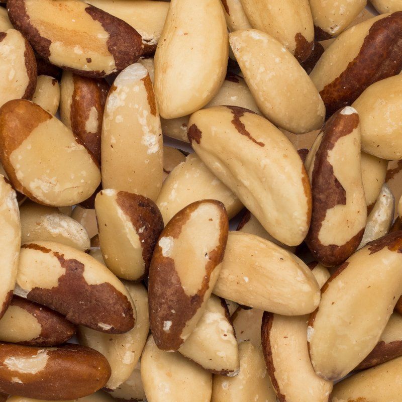 Brazil nuts medium org. 19,96kg 