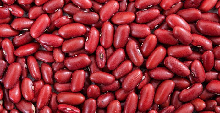 Natural Organic Kidney Beans Wholesale