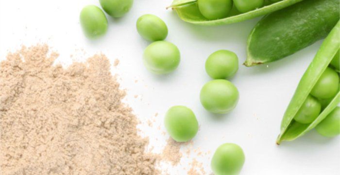 Natural Organic Wholesale Plant Protein